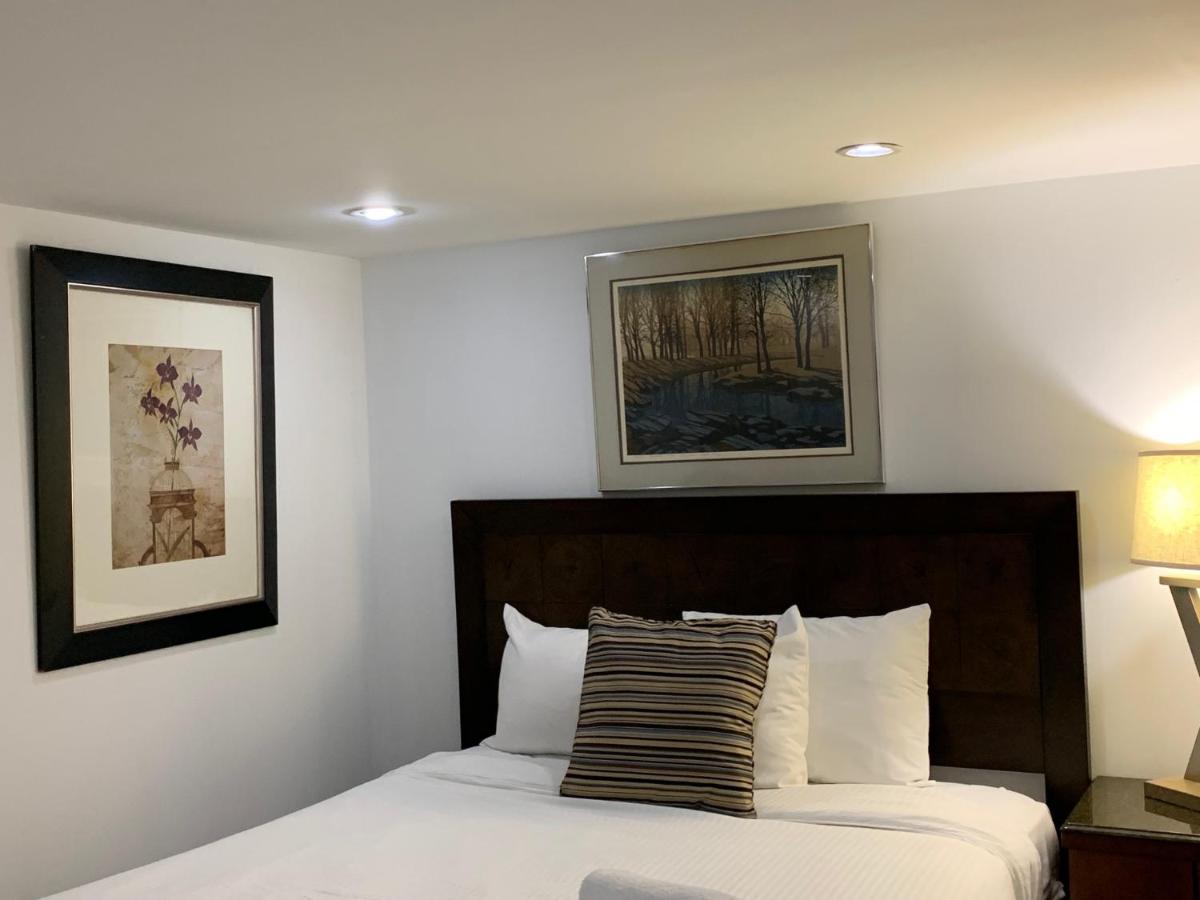 Renovated English Basement 2Bdrm Home Near Metro Washington Exterior foto